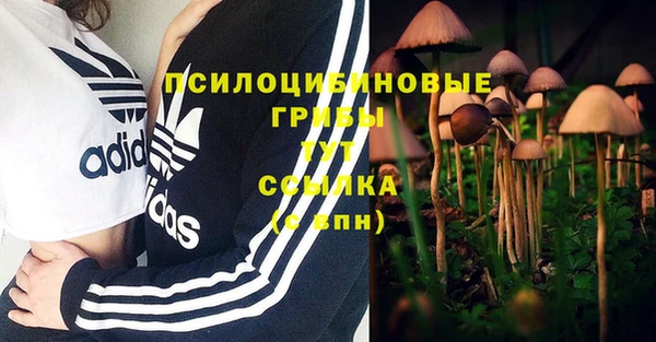 хмурый Алексеевка