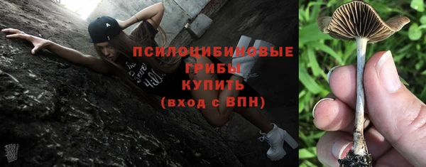 хмурый Алексеевка