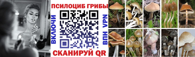 как найти Ухта KRAKEN Псилоцибиновые грибы Cubensis