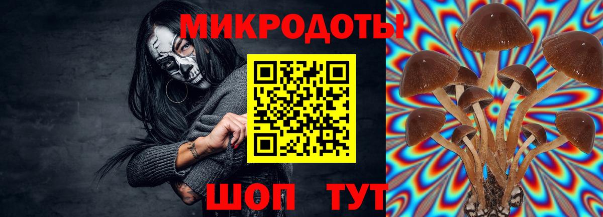 Ухта  Псилоцибиновые грибы GOLDEN TEACHER  Вход с VPN 